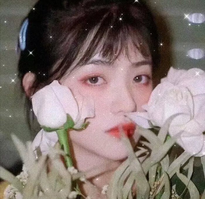 水上回光